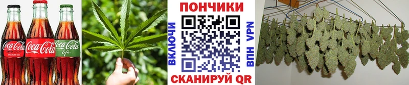 Canna-Cookies марихуана  Купить  Сураж 