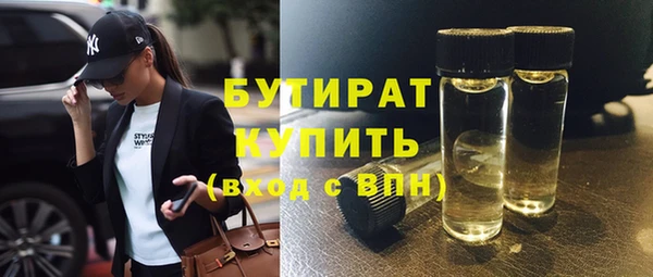 мдпв Краснослободск