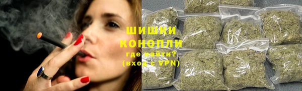 мдпв Краснослободск