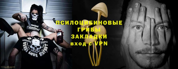 мдпв Краснослободск