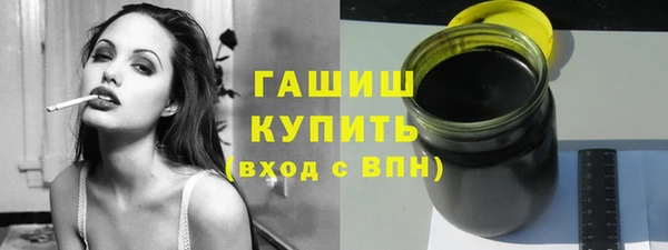мдпв Краснослободск
