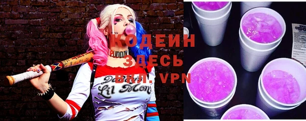 мдпв Краснослободск