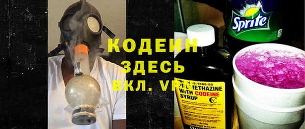 мдпв Краснослободск