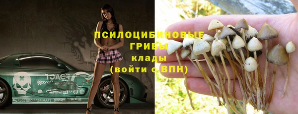 мдпв Краснослободск
